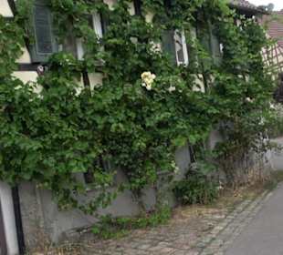 Taglöhnerhäuser des 19. Jahrhunderts