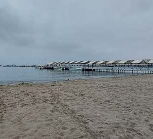 Hafen - Es geht los