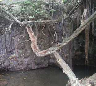 Das Bad der Aphrodite