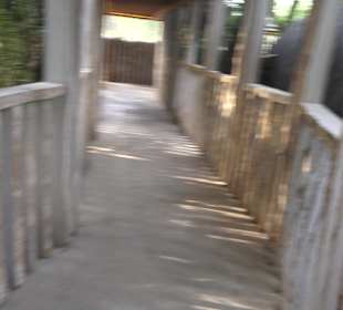 Wellnessbereich Mawell Resort 