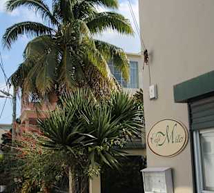 Cafe Müller