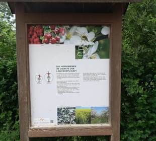 Naturinfopfad im Gewann Altstadt
