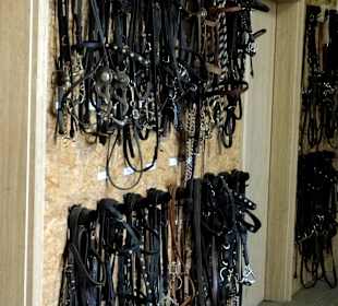 Aktuelle Ausrüstung der Hofreitschule