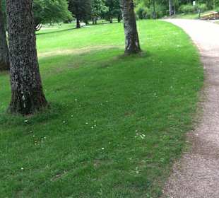 Kurpark