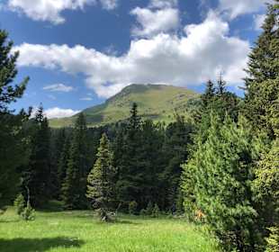 Wandern Turracher Höhe