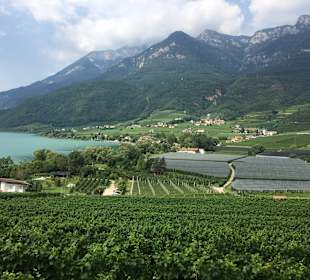 Kalterer See