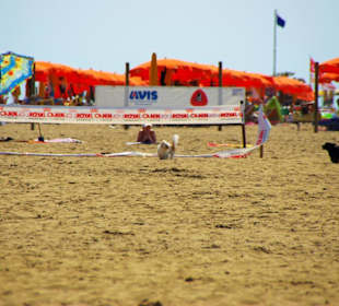 Der Hundestrand dei Pini