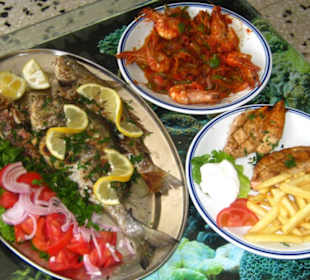 The Old Pyli Taverna - Georgos, the fisherman