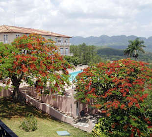Vinales