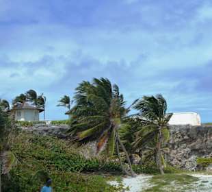 Bottom Bay