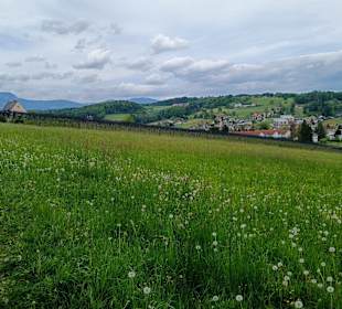 Wanderweg bei Eggersdorf
