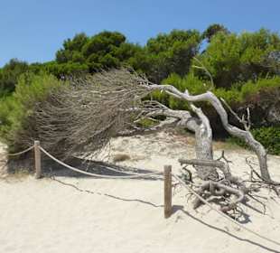 Strand von Agulla