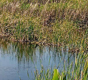Wandern Olhos de Água