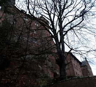 Burg Berwartstein in Erlenbach