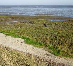 Eine winzige Sandecke am Strand Burhave