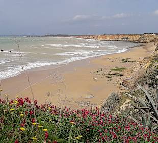 Strand Richtung Conil Hafen