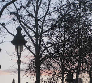 In giro per la città