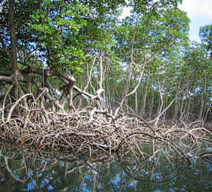 Nationalpark Los Haites
