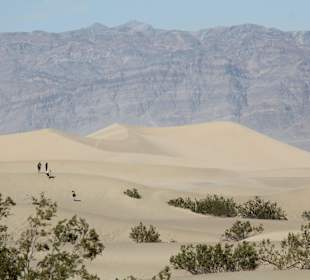 Mesquite Sand Dunes