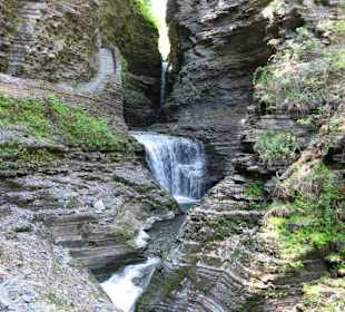Watkins Glen
