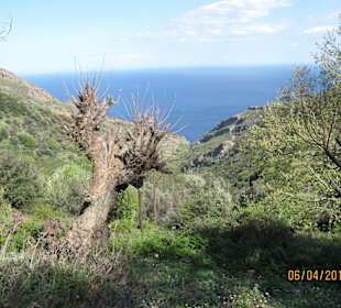 Unendliche Landschaft