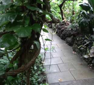 Tropicarium