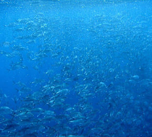 Tulamben