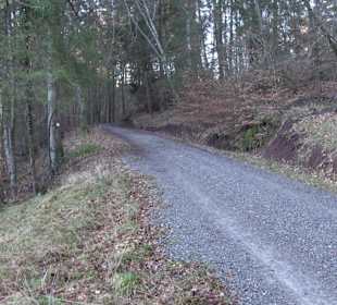 Wanderung rund um den Ochsenweiher