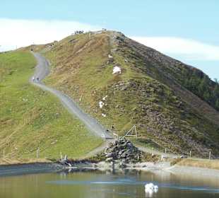 Der Asitz-Berggipfel