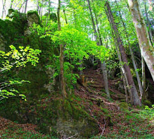 Wanderung zum Bärenfels