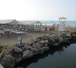 Strand mit Liegen in Doppelreihen