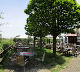 Straußenfarm Mhou Rülzheim