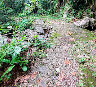 Parque Natural Obô do Príncipe