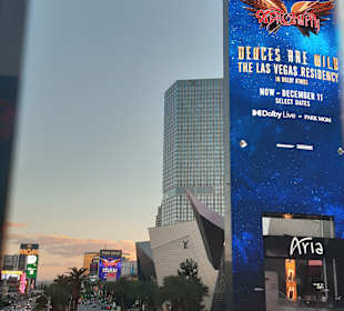 Stadtrundgang Las Vegas