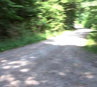 Rundwanderung Klingenbachtal - Sulzbachsee