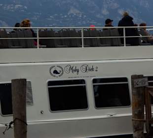 Die Moby Dick Flotte Anfang November