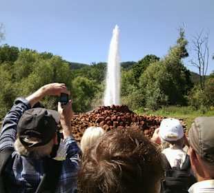 Der Geysir fängt an...