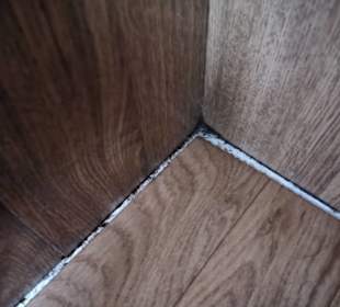 Für 2400 EU pro Woche