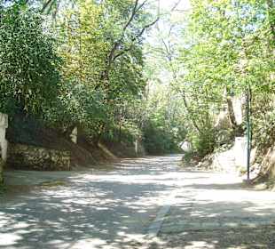 SB-Keller Bohrn Schindergasse