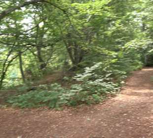 Hochgeträumt Premiumwanderung