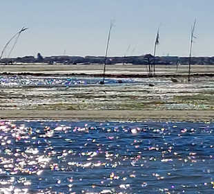 Bootstour Ria Formosa