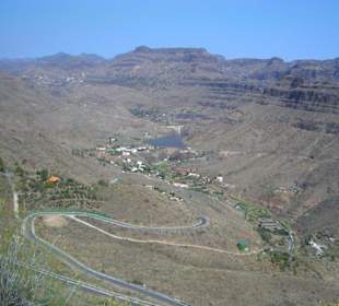 Ayagaures