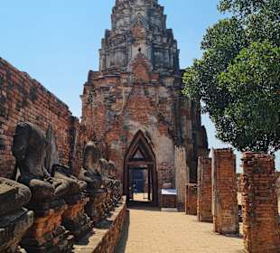 Tempel Ayutthaya 