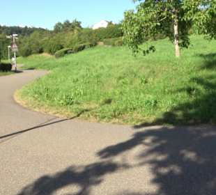 Leibfriedscher Garten