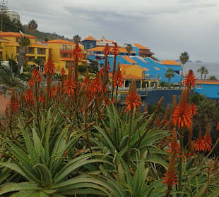 Promenade Caniço