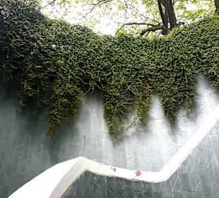 Tree Tunnel Fort Canning Park