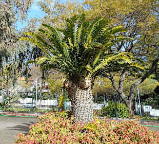 Parque de Santa Catarina