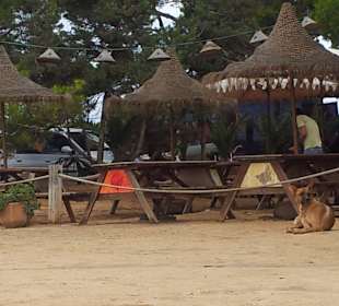 Es Cana Hippiestrandbar Playa Martina