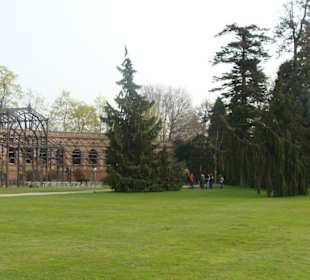Impressionen Botanischer Garten