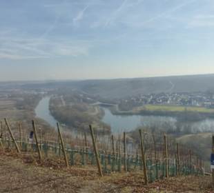Blick von Vogelsburg: Weinberge und Mainschleife